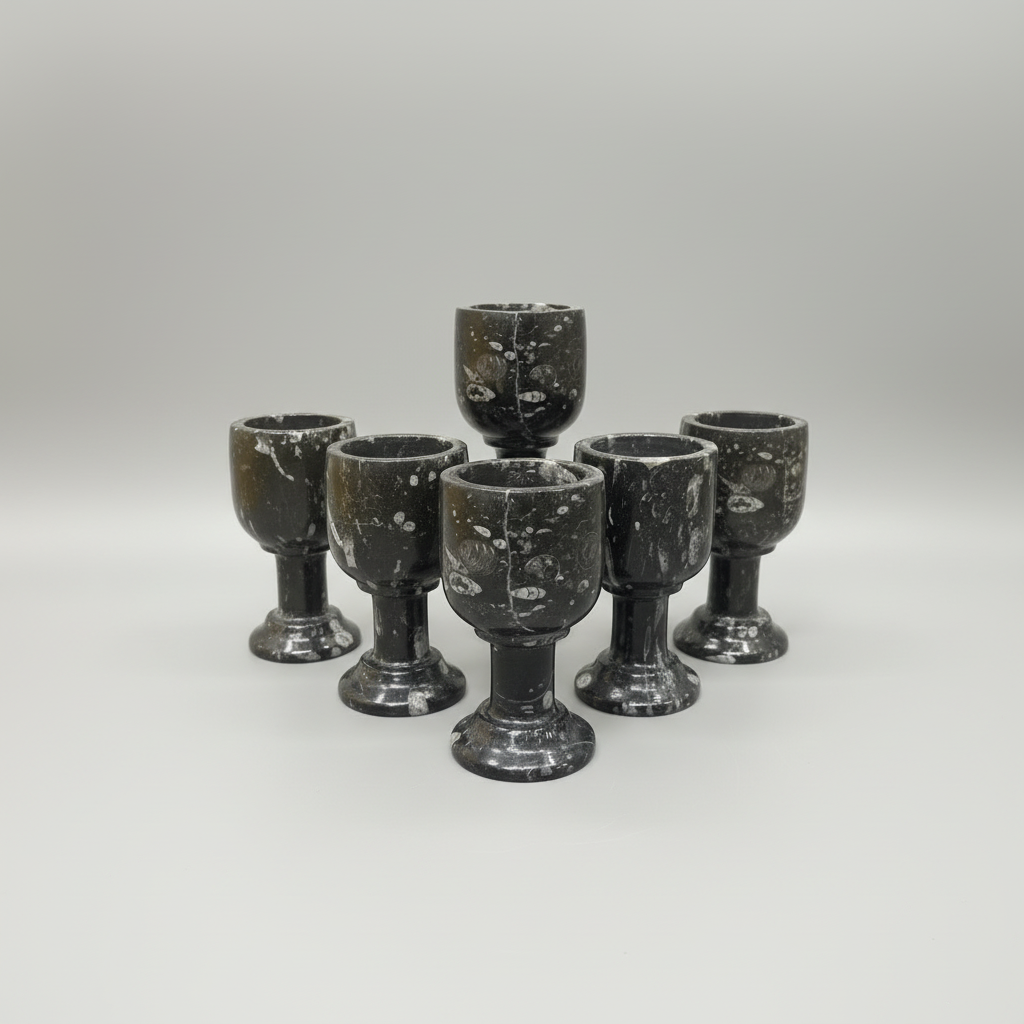 Black Fossil Goblet