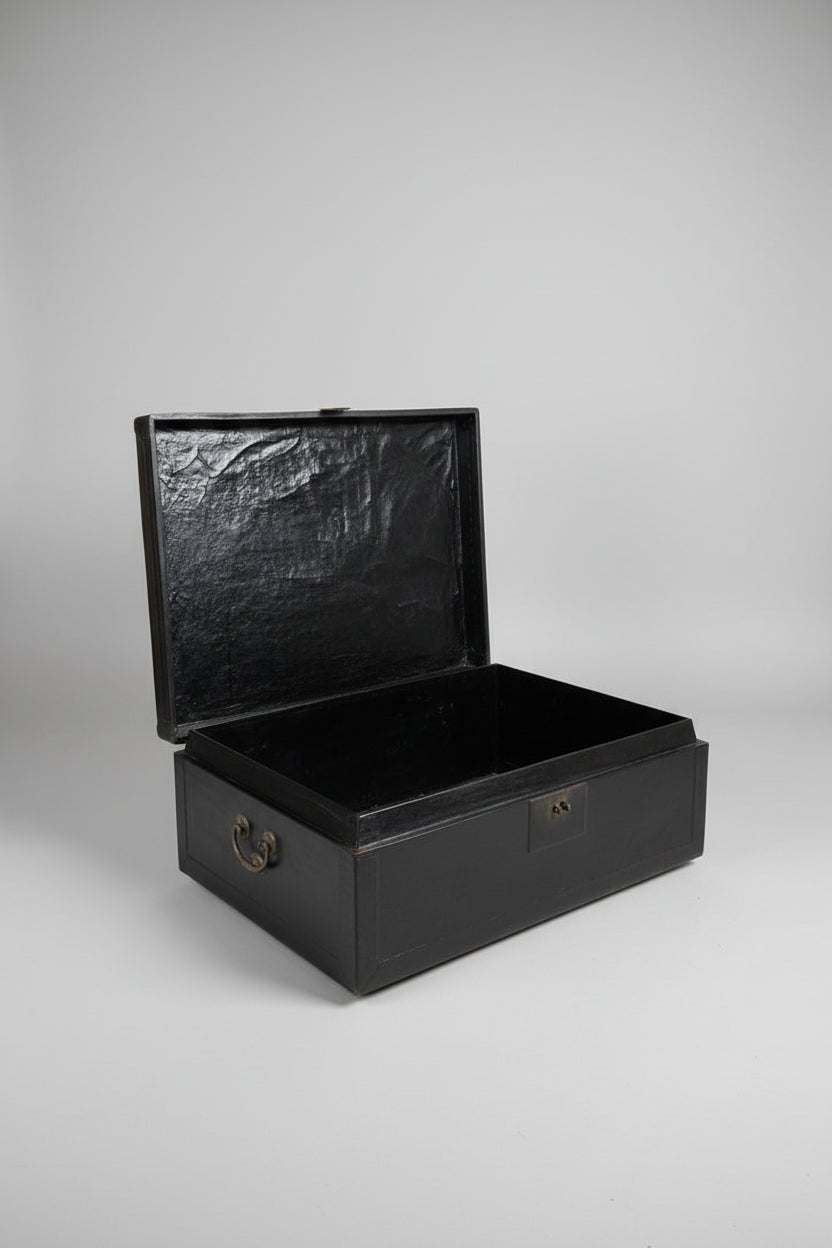 Vintage Asian Lacquered Pig Skin Trunk