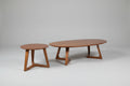 MCM Walnut Coffee + Side Table