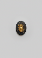 Gilded Beetle Wall Plaque