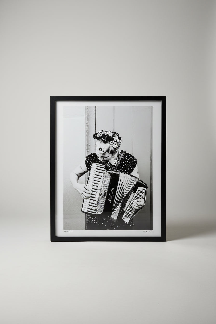 Accordion by Sparrow Photography  20 x 24