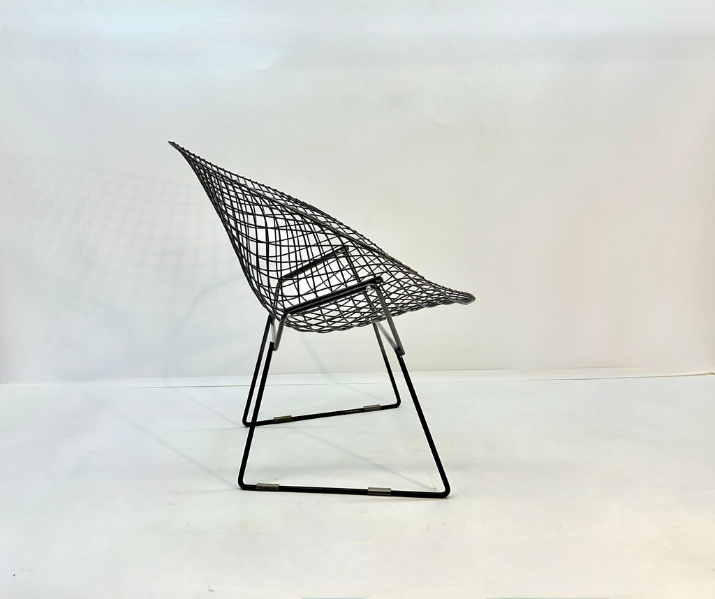 Knoll Bertoia Diamond Chair in Brown/Black