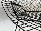 Knoll Bertoia Diamond Chair in Brown/Black