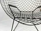 Knoll Bertoia Diamond Chair in Brown/Black