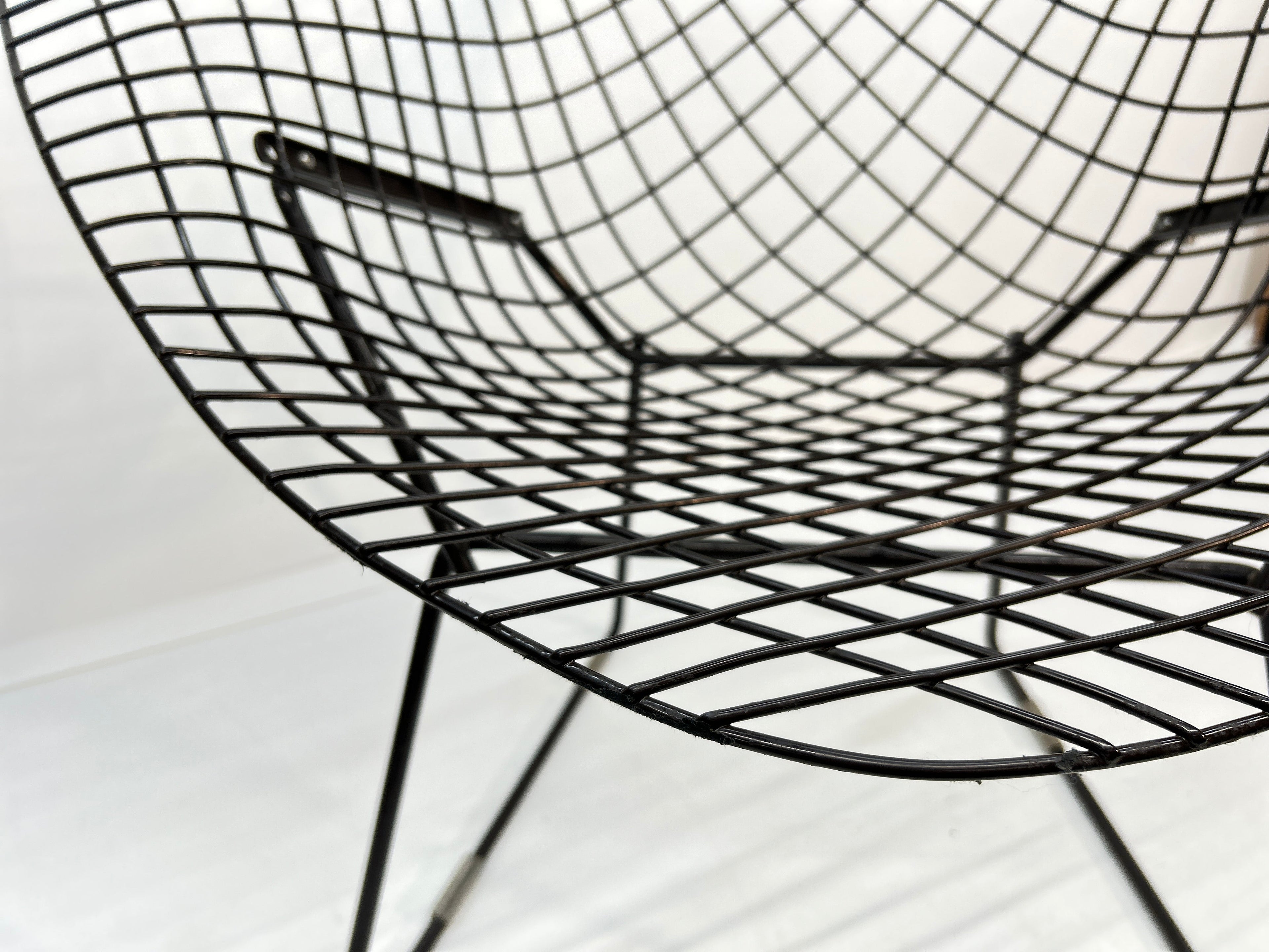 Knoll Bertoia Diamond Chair in Brown/Black