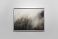 Minted Fog And Trees
