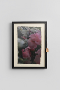Magnolia Encaustic Floating  Frame