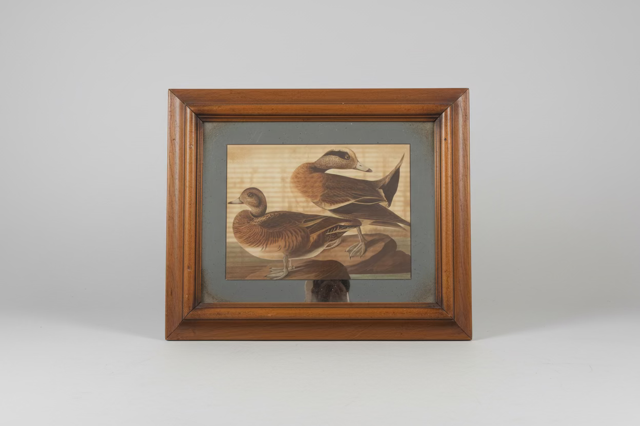 Mirrored Ducks