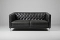 Cb2 Tufted Leather Small Sofa