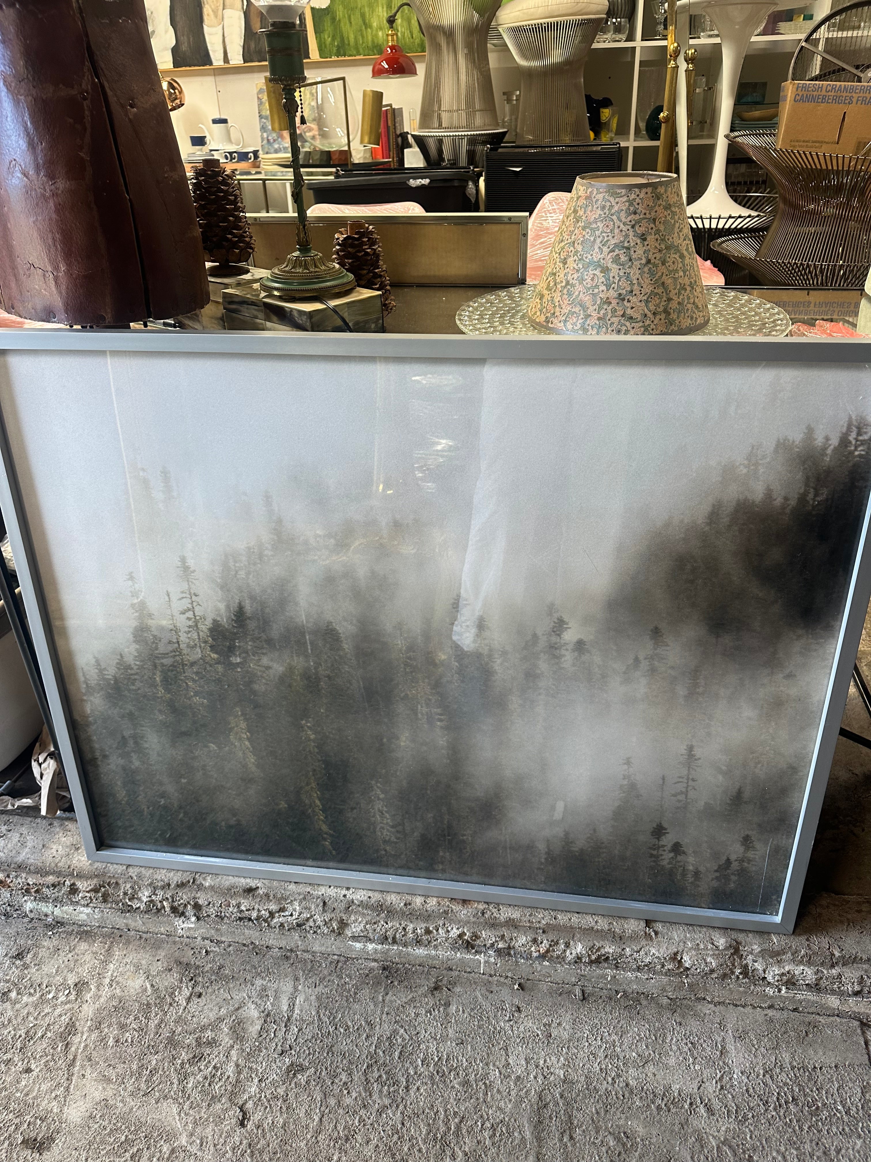 Minted Pacific North Fog Limited Edition Fine Art Print 1
