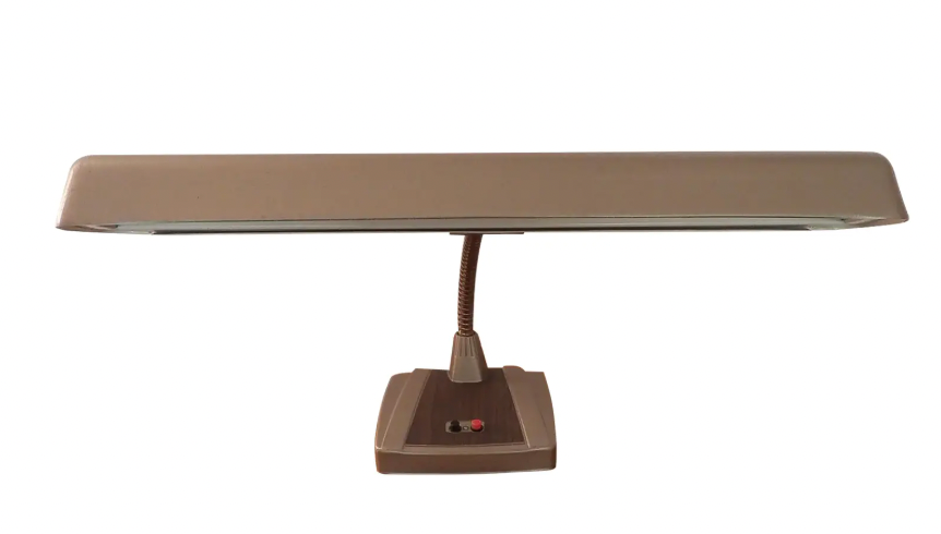 Vintage Ledu Corp Goose Bankers Lamp