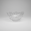 Small Clear Glass Coral Bowl
