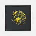 Iceland Poppy Seeds, by L’lee Hooker