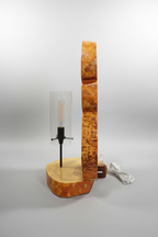 Rustic Driftwood Table Lamp