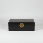 Vintage Asian Lacquered Pig Skin Trunk