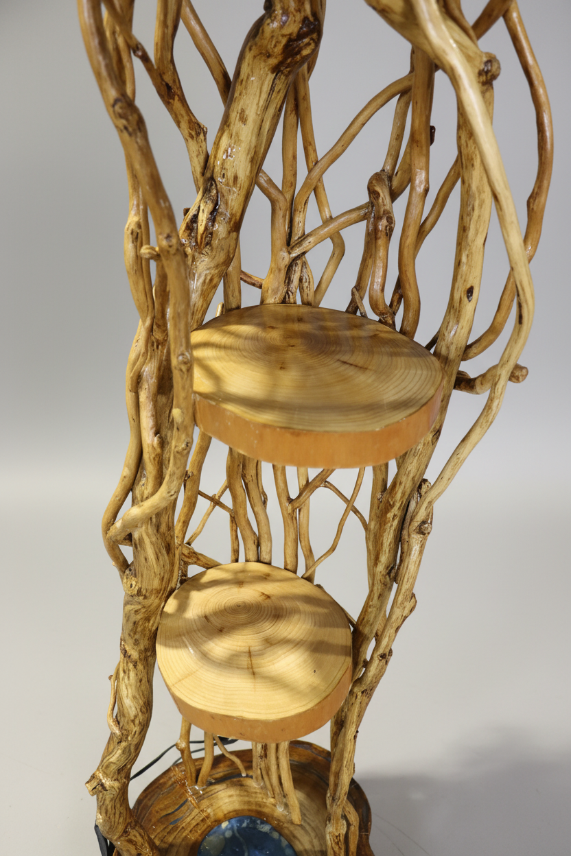Exotic Driftwood Floor Lamp