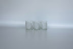 Set of 4 Vintage TasteSetter Nautilus Rocks Glasses
