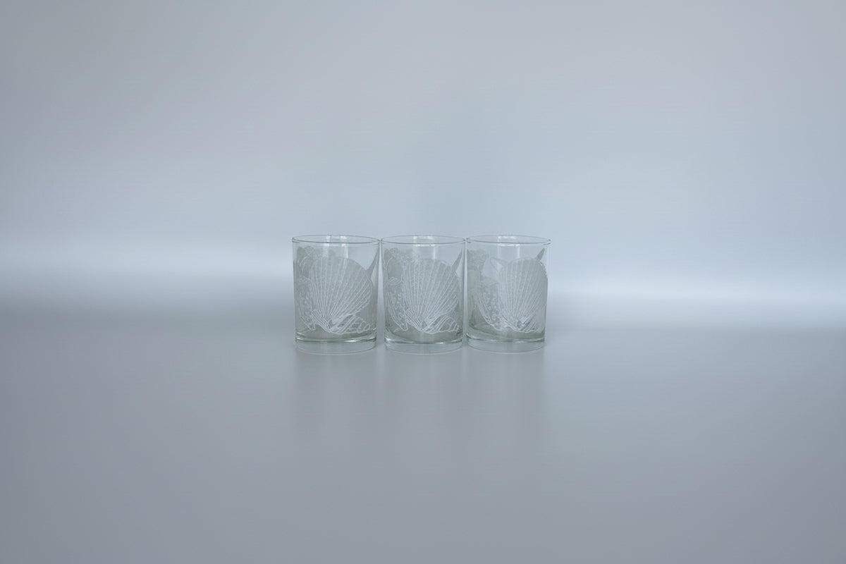 Set of 4 Vintage TasteSetter Nautilus Rocks Glasses